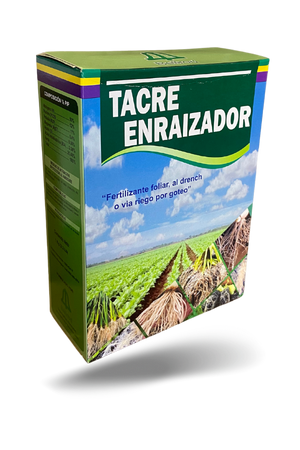 Tacre Enraizador