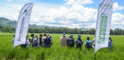 Día de campo, Manejo Integrado del Cultivo de Arroz