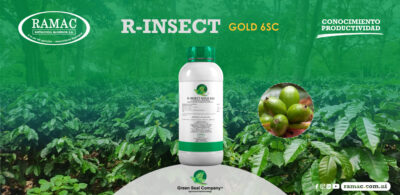 Manejo Sostenible: R-INSECT GOLD 6 SC y la protección del café ante la broca