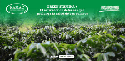 GREEN STAMINA +: El activador de defensas que prolonga la salud de sus cultivos