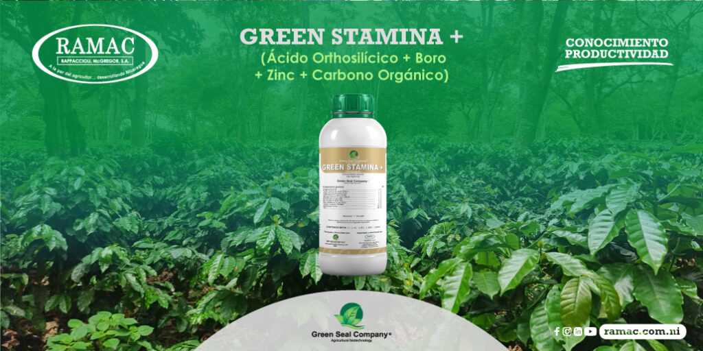 RAMAC y GREEN SEAL COMPANY desarrollaron GREEN STAMINA +, un insumo orgánico que entrega Silicio a sus cultivos